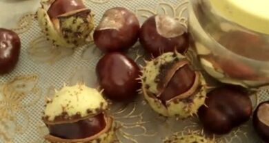 L'uso di castagne per cavalli per il trattamento delle vene varicose